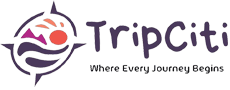 tripciti logo